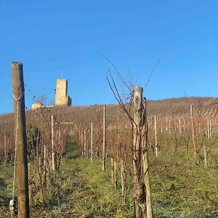 Le Cocon Du «katzelberg» A 10mn De Colmar *