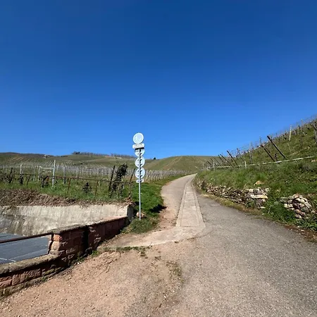 Lejlighed Le Cocon Du «katzelberg» A 10mn De Colmar Katzenthal