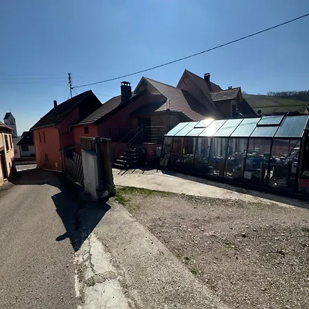 Apartment Le Cocon Du «katzelberg» A 10mn De Colmar Katzenthal